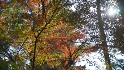 仁和寺(京都府)