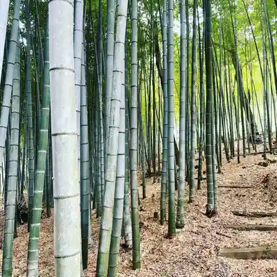 化野念仏寺(京都府)
