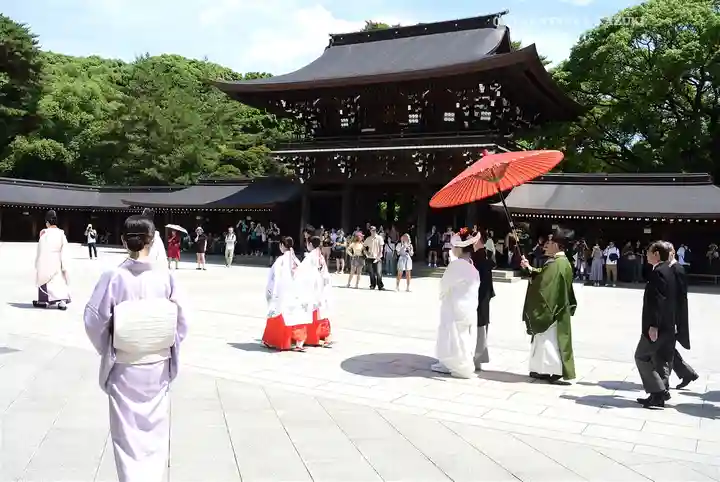 明治神宮(東京都)