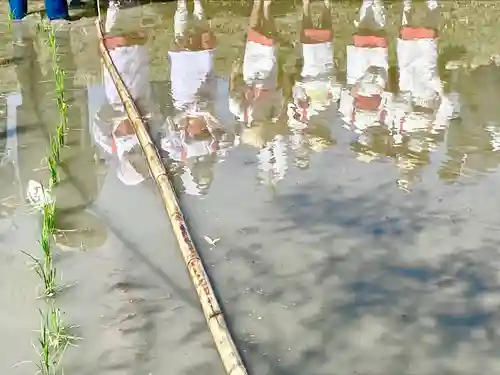 山家神社のお祭り