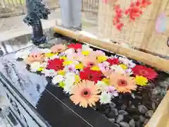 美幌神社の手水