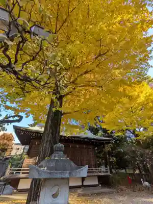 布多天神社(東京都)