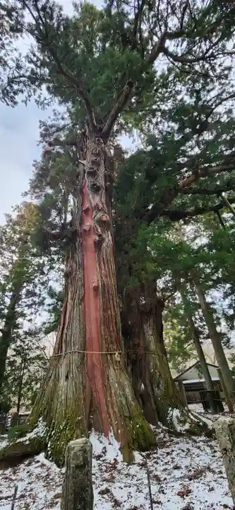 塩原八幡宮の周辺