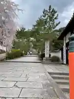 長谷寺(奈良県)