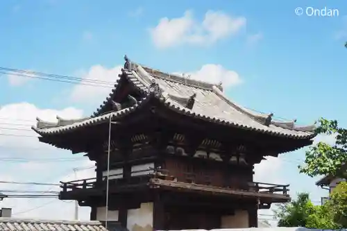 般若寺 ❁﻿コスモス寺❁(奈良県)