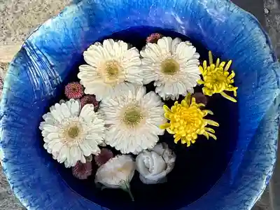 川越八幡宮(埼玉県)