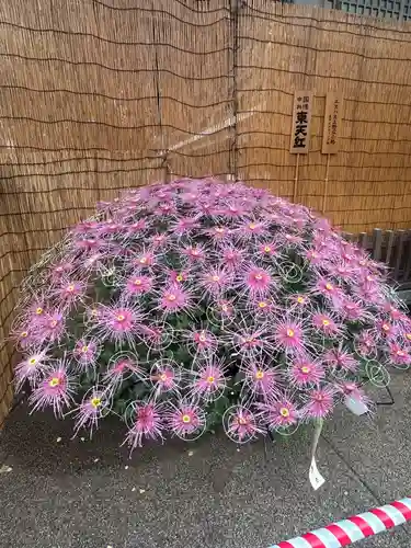 湯島天満宮(東京都)