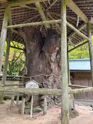 根香寺(香川県)