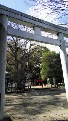 杵築大社の鳥居