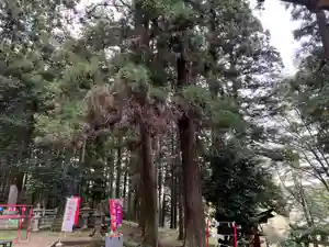 大宮温泉神社(栃木県)(2022年10月24日(月) 07時52分15秒投稿)