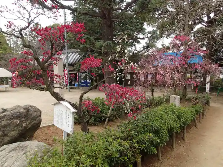 道明寺天満宮の庭園