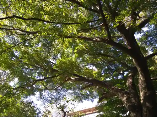 金蔵院(東京都)