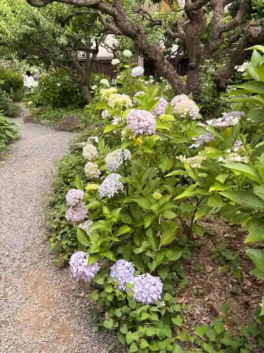 頼光寺(兵庫県)