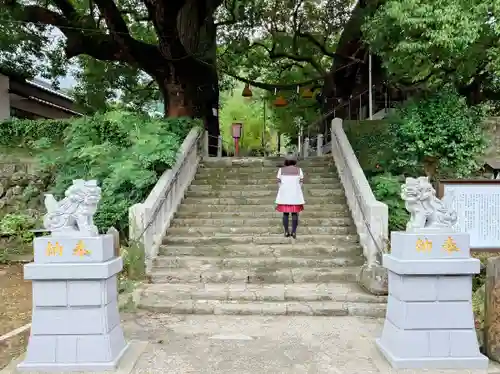 山王神社の自然