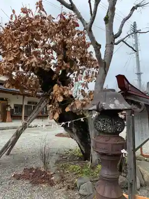 田出宇賀神社のその他建物