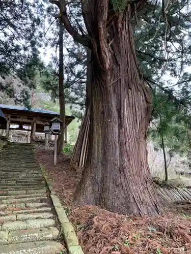 小野観音堂の山門