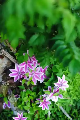 浄土寺(兵庫県)