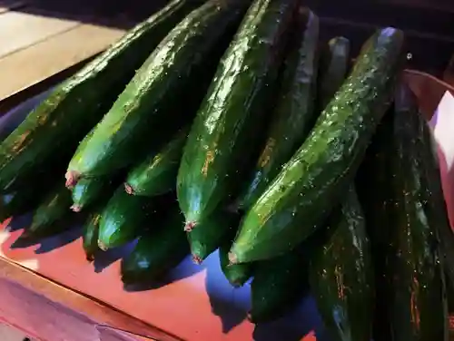 滑川神社 - 仕事と子どもの守り神のお祭り