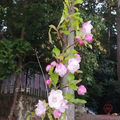 立志神社(滋賀県)