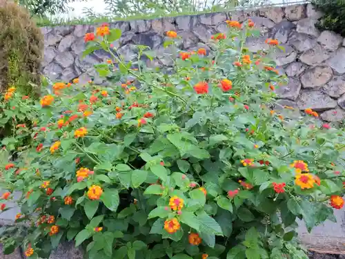兵庫縣神戸護國神社の自然