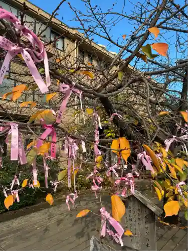 桜神宮(東京都)