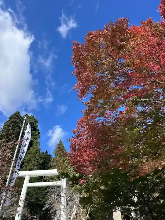 土津神社|こどもと出世の神さま(福島県)