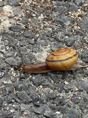 善林寺(愛知県)