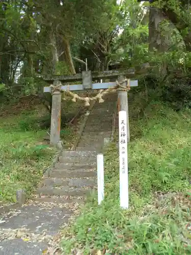 天月神社の鳥居