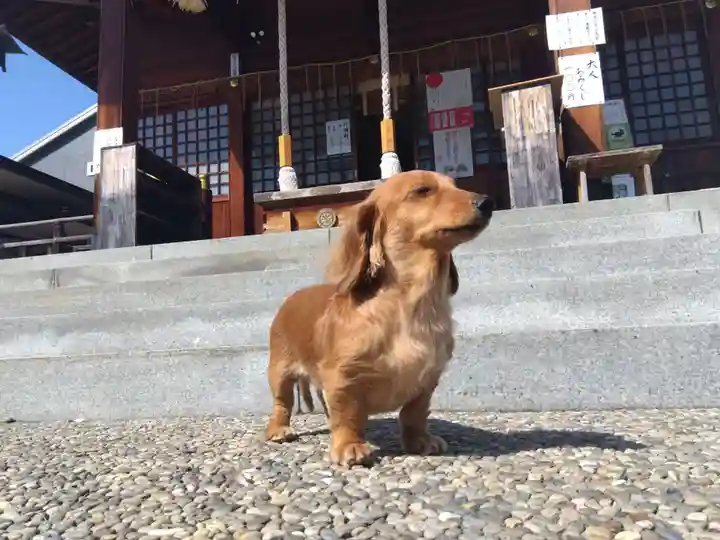 杉杜白髭神社(福井県)