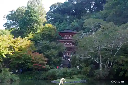 浄瑠璃寺(京都府)