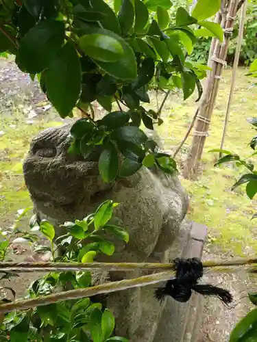 子安神社の狛犬