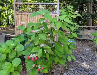 厚別神社(北海道)