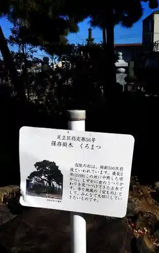 安養院の自然