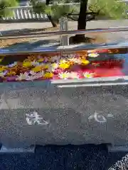 浅間神社の手水