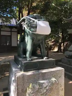 住吉神社の狛犬