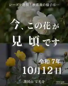宝光寺(北海道)(2025年10月12日(日) 13時08分13秒投稿)