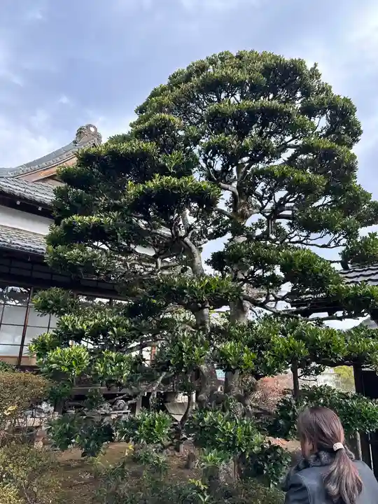 明白院(東京都)
