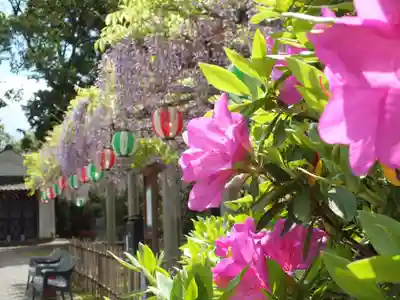 惣社神社の自然