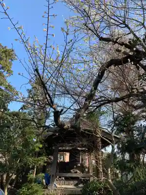 光明寺のその他建物