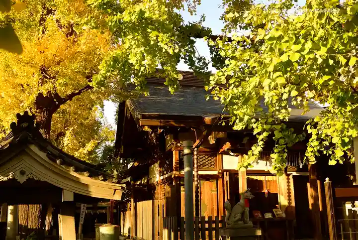 飛木稲荷神社の本殿・本堂