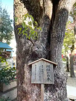 三輪神社(愛知県)