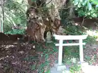 罔象女社(石川県)