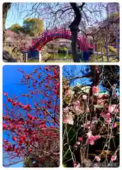 亀戸天神社(東京都)