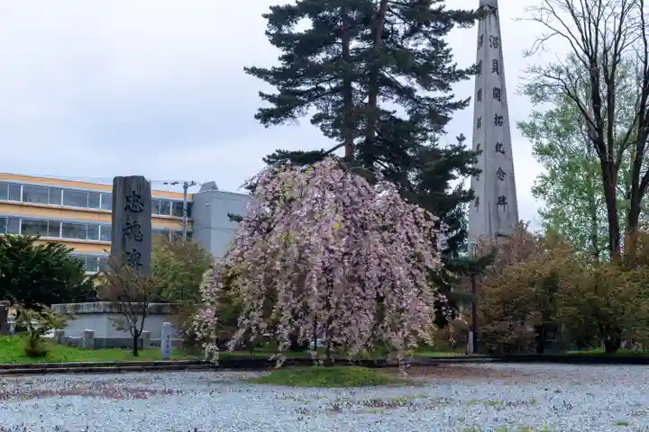 空知神社(北海道)