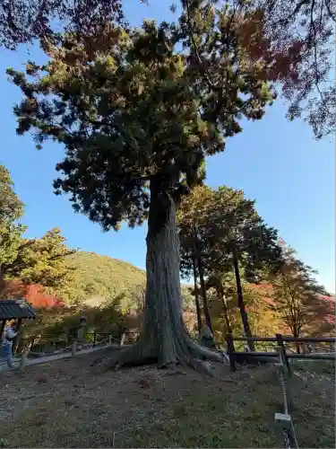普門寺(切り絵御朱印発祥の寺)(愛知県)