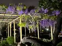 亀戸天神社の{uncategorized: "未分類", other: "その他", undefined: "問題あり", building: "その他建物", grave: "お墓", sacred_gate: "鳥居", guardian: "狛犬", statue: "像", buddha: "仏像", history: "歴史", nature: "自然", garden: "庭園", animal: "動物", pagoda: "塔", temizu: "手水舎", mountain_gate: "山門・神門", sanctuary: "本殿・本堂", subordinate: "末社・摂社", art: "芸術", scenery: "景色", jizo: "地蔵", ema: "絵馬", goshuin: "御朱印", omikuji: "おみくじ", items: "授与品その他", amulet: "お守り", goshuincho: "御朱印帳", eats: "食事", festival: "お祭り", votive_dance: "神楽", shichigosan: "七五三参", wedding: "結婚式", experience: "体験その他", initially: "初詣", around: "周辺", anti_infection: "感染症対策"}