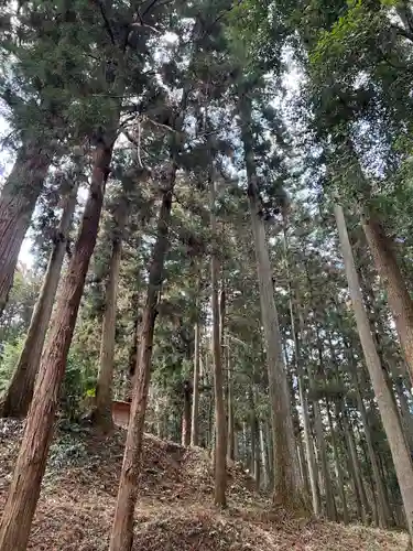 大宮温泉神社(栃木県)