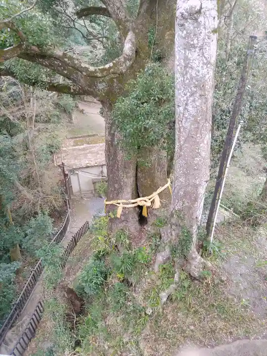 笠森寺(千葉県)