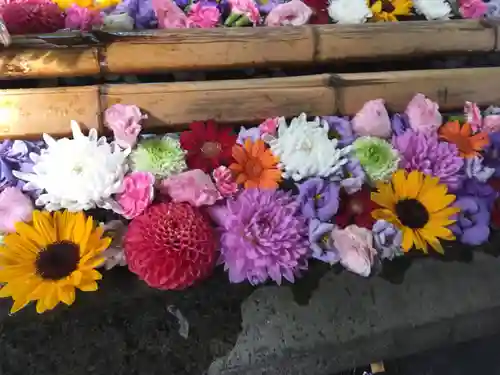 札幌護國神社の手水