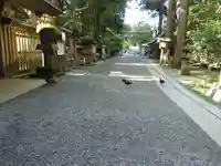 天岩戸神社(宮崎県)